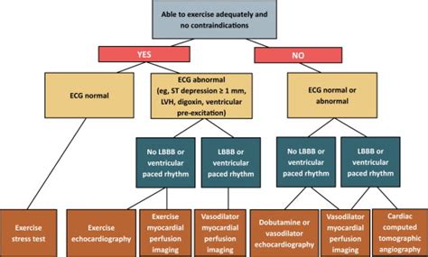 Canadian Cardiovascular Society Guidelines For The Diagnosis And