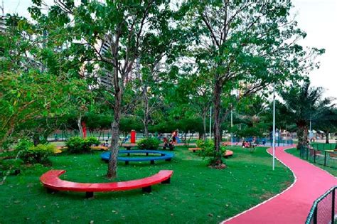 Parques E Pra As Incr Veis Para Conhecer Em Salvador Tourb