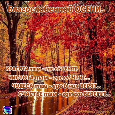 Чудесной ОСЕНИ - Друзья! #ВКонтакте_с_Добротой | ВКонтакте с Добротой ...