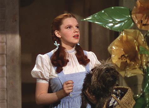 Toto and Dorothy - Toto (The Wizard of Oz) Photo (11525930) - Fanpop