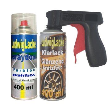 Ludwig Lacke Spray Set für VW Schilfgruen LD6X Griff 21 99