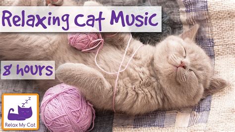 Extra Long Video Of Sleep Music For Cats Help Your Cat Sleep With