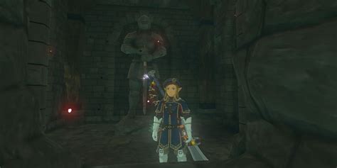 Breath Of The Wild Things You Missed In Hyrule Castle