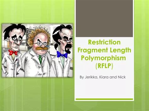 Ppt Restriction Fragment Length Polymorphism Rflp Powerpoint Presentation Id 2938144