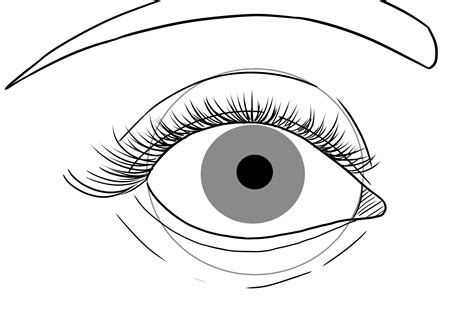 Como Dibujar Ojos Humanos