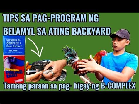 Tamang Paraan Sa Pag Bigay Ng B Complex Sa Manok Tips Sa Pag Program