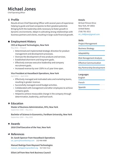 Ceo Resume Examples And Templates 2024 ·