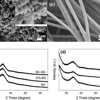 Sem Micrographs Of The Prepared Pristine Bioactive Glass A Particles