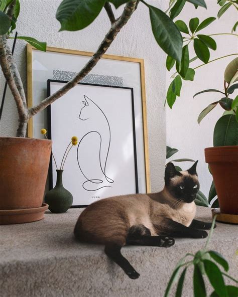 Modern art for pets and their humans | Pets, Cat plants, Cat photography