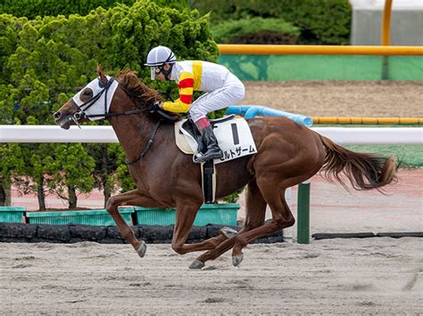 【函館6r新馬戦結果】出遅れを挽回して1番人気ゼルトザームが新馬勝ち 2023年6月17日掲載 ライブドアニュース