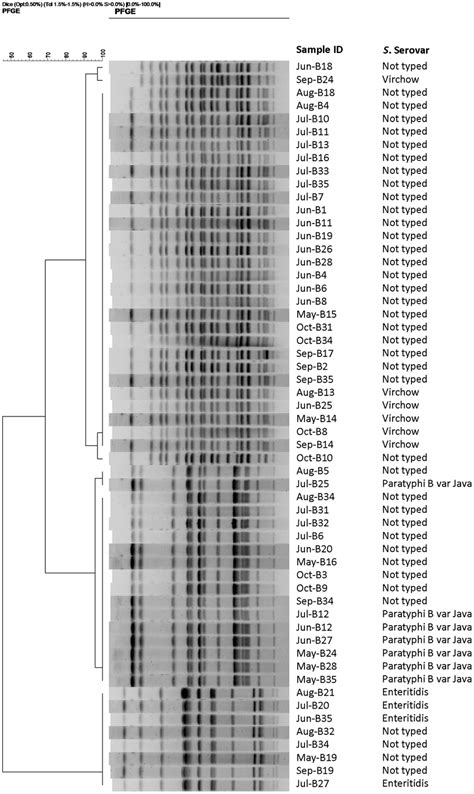 Dendrogram Showing The Cluster Analysis On The Basis Of Xbai Pfge Of