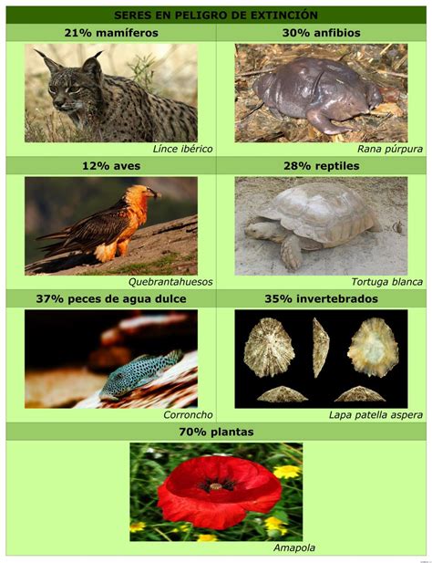 🥇 【 Pérdida De Biodiversidad Iniciación A La Educación Ambiental