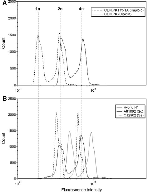 DNA Content Of The A S Cerevisiae Haploid CEN PK113 1A And Diploid