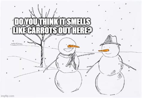 Smells Like Carrots Imgflip