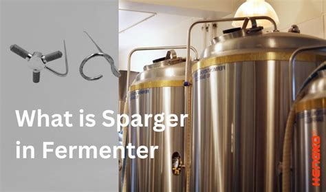 Everything You Need To Know About Sparger In Fermenter What Is Sparger