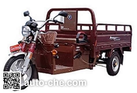 Dalishen Electric Cargo Moto Three Wheeler Dls Dzh C Manufactured