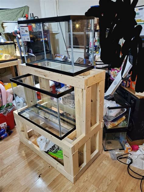 Diy Aquarium Stand Aquarium Garden Aquarium Ideas Aquarium Design