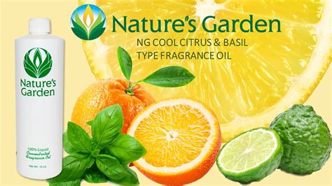 Ng Cool Citrus And Basil Type Fragrance Oil Natures Garden Youtube