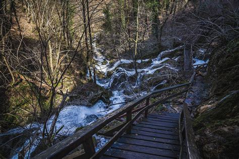 park prirode papuk plantea plantea