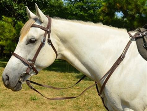 Draft Horse Sizeenglish Bridle And Reins Made From Leather Etsy