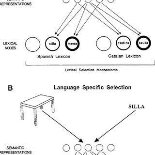 Illustration Of The Semantic Interference Effect Observed Across