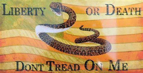 Don T Tread On Me DTOM EZ Peel Bumper Sticker Decal Walmart