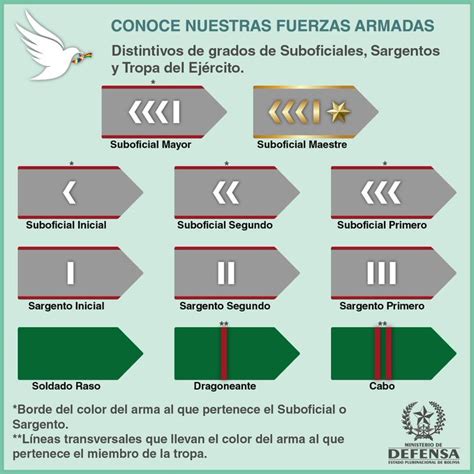 ¿cómo Reconocer Los Grados De Los Militares Defensa Te Los Detalla El Estado Digital