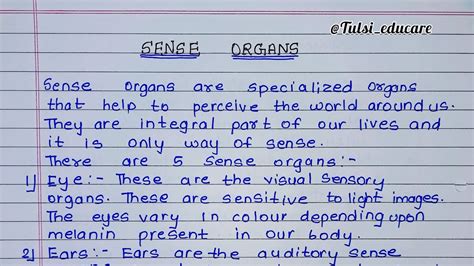 Proper Explanation Of Sense Organs Define Of 5 Sense Organs