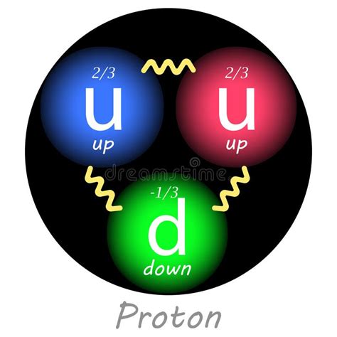 Proton With Two Up Quarks One Down Quark Their Charges And The Forces