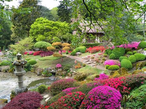 Le parc oriental de Maulévrier au printemps Fleurs Parc oriental de