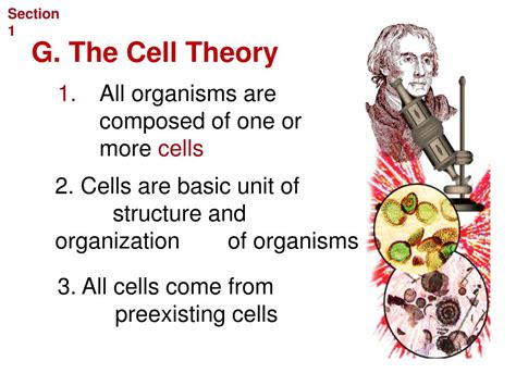 Ppt Biology Chapter Cellular Structure And Function Powerpoint