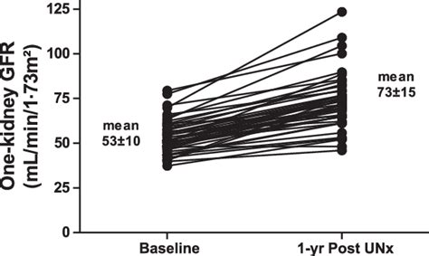 One Kidney Glomerular Filtration Rate Gfr Before Half Of Whole Gfr