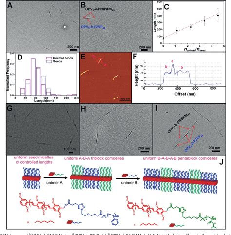 Figure From Continuous And Segmented Semiconducting Fiber Like