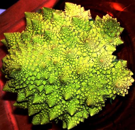 Fractal Vegetable By Delaverano On Deviantart