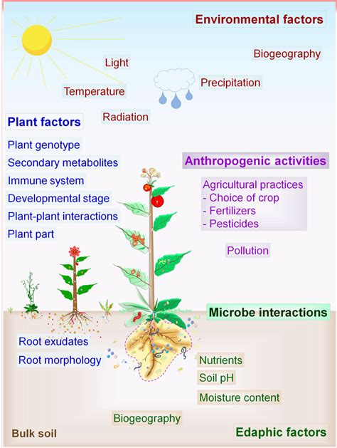 Driving Factors Of Plantmicrobe Interactions Environment Soil And