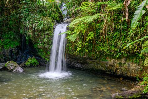 Puerto Rico Waterfall Tours | Waterfall Tours
