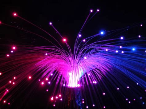 Fiber Optics Lights At Night — Stock Photo © Vondetraumer 4587645