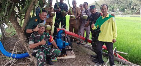 Berita BSIP NTB GIATKAN POMPANISASI SAWAH TADAH HUJAN KEMENTAN