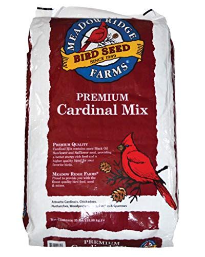 Best Winter Bird Seed Mix 2024 - Vet Ranch - We Love Pets