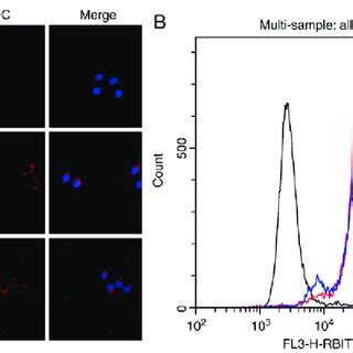 Functional Characterization Of Mab Sa A Targeting Ability Of Mab Sa