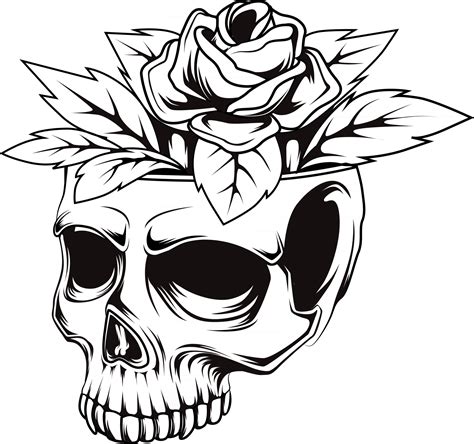 Skull Flowers Vector Vector Art At Vecteezy