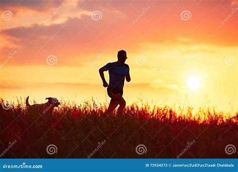 Athletic Runner With Dog At The Sunset Stock Image Image Of Motion