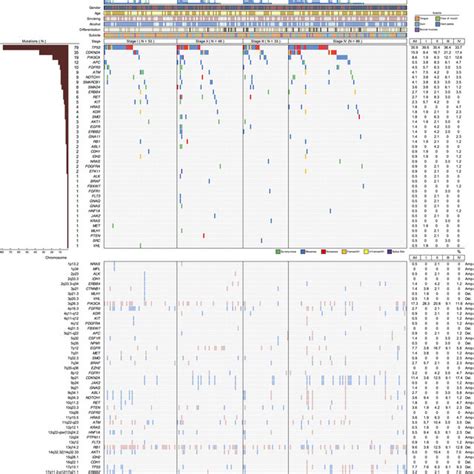 Mutational Landscape Of Oral Squamous Cell Carcinoma In 220 Patients