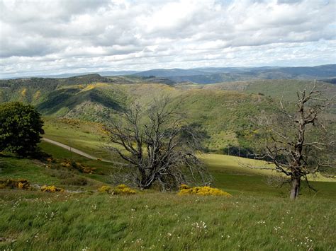 Mountain Cevennes Nature - Free photo on Pixabay - Pixabay