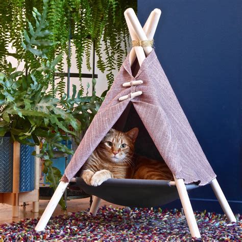 Adventure Tent Cat Bed Adventure Cat Cat Tent