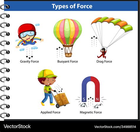 Types force for kids physics educational Vector Image