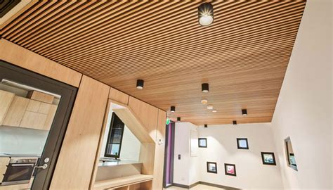 A Complete Guide To Using Wpc Ceiling Panels