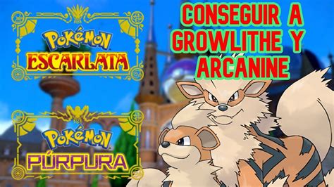 Como Conseguir A Growlithe Y Arcanine En Pok Mon Escarlata Y P Rpura