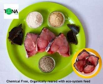 Katla Fish 500g - Organic Food - Farming | TONA