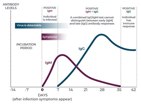 Sars Cov 2 Igg Antibody Test Receives Fda Emergency Use Authorization
